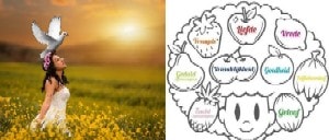 دراسة الكتاب المقدس غلاطية